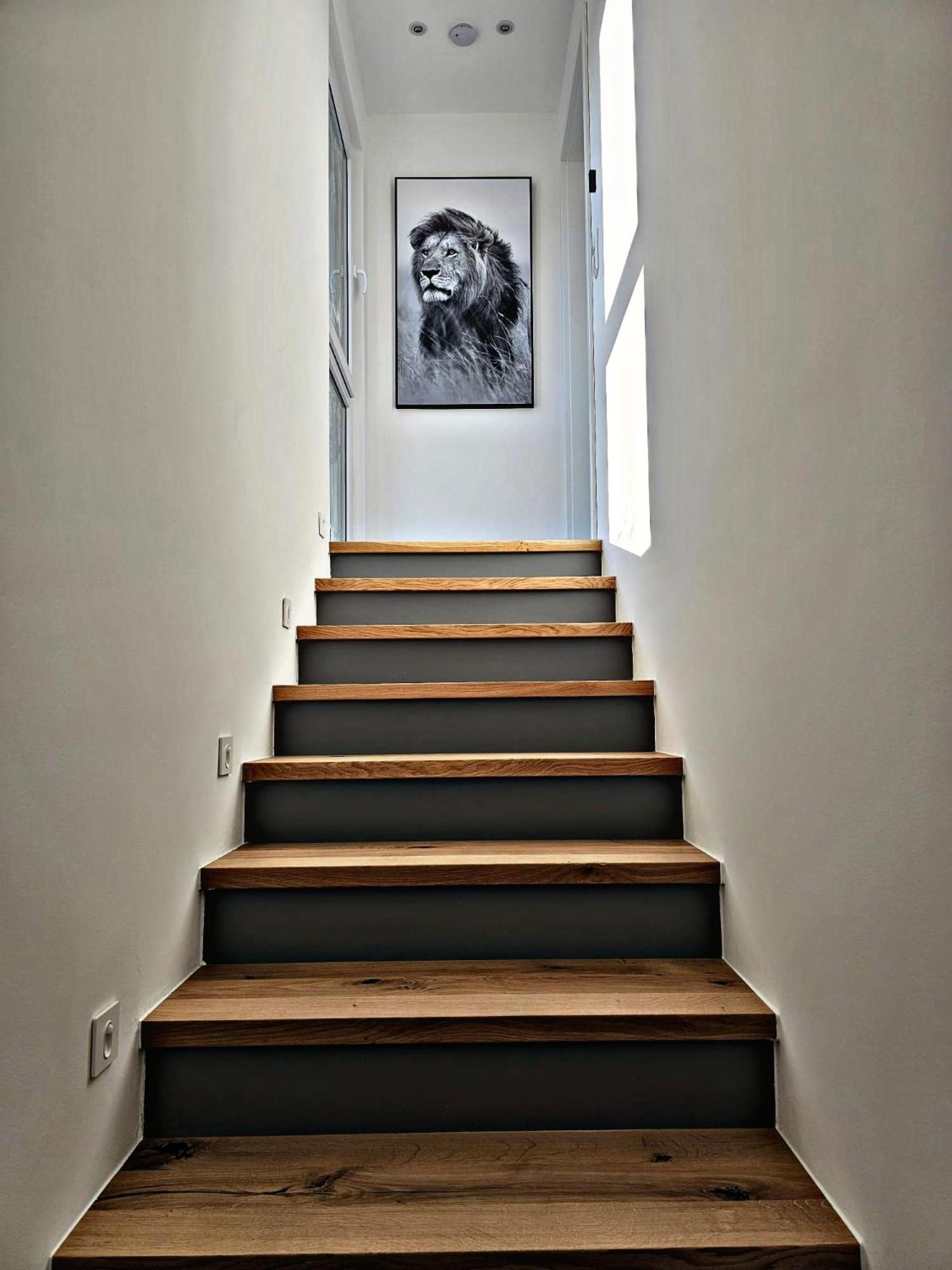 Lions Place Premium Apartments Comfort Optionaler Zugang Zum Spa- Bereich Heidenheim Exterior foto